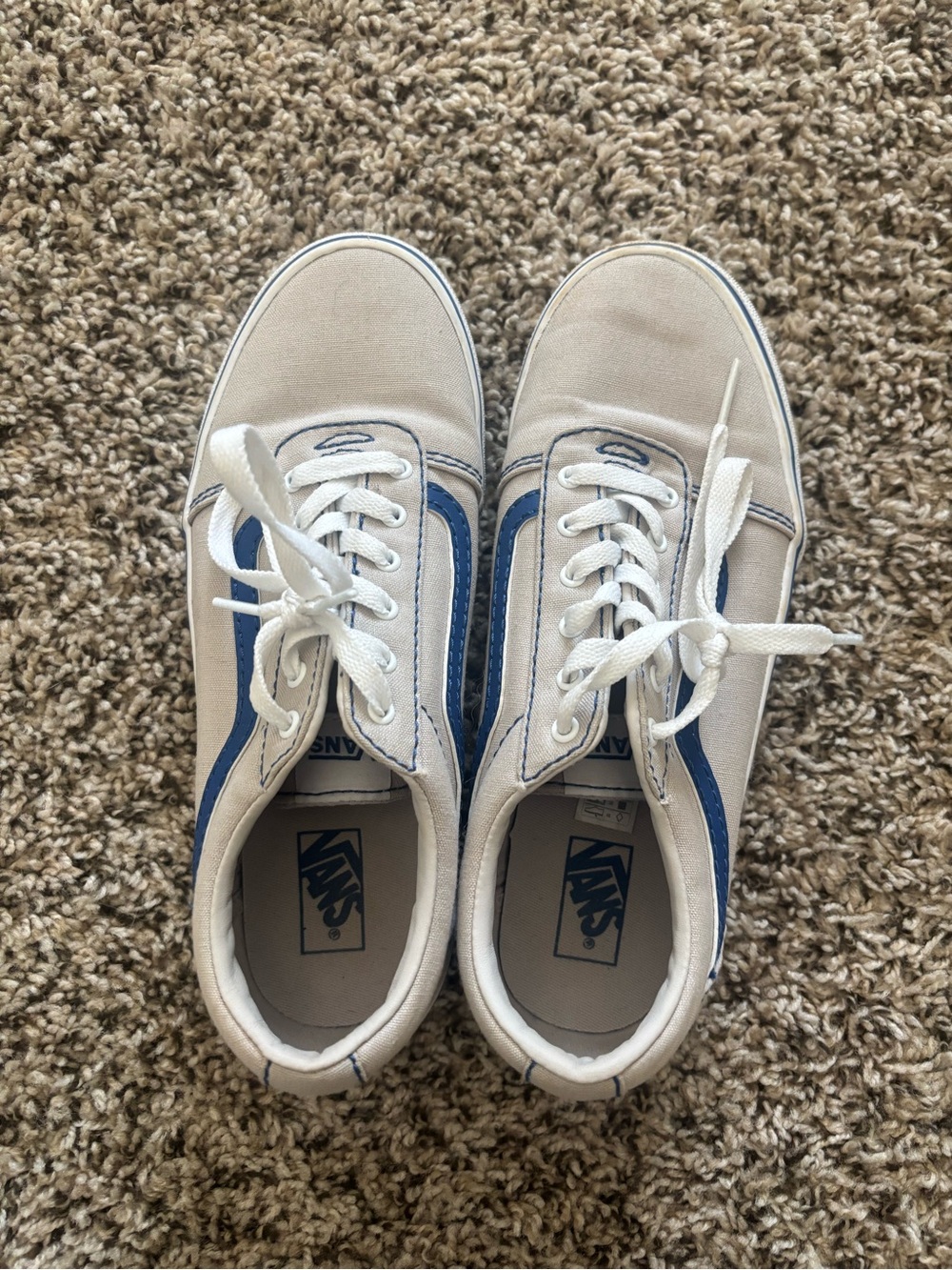 Vans Youth Low-Top Canvas Sneakers in White and Blue Stripe